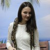 Скачать Вокруг Друзья Бесплатно